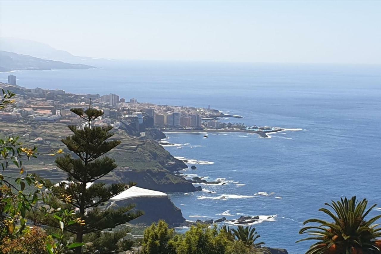 Estudio Brillante, Confortable Y Agradable Puerto de la Cruz  Eksteriør bilde