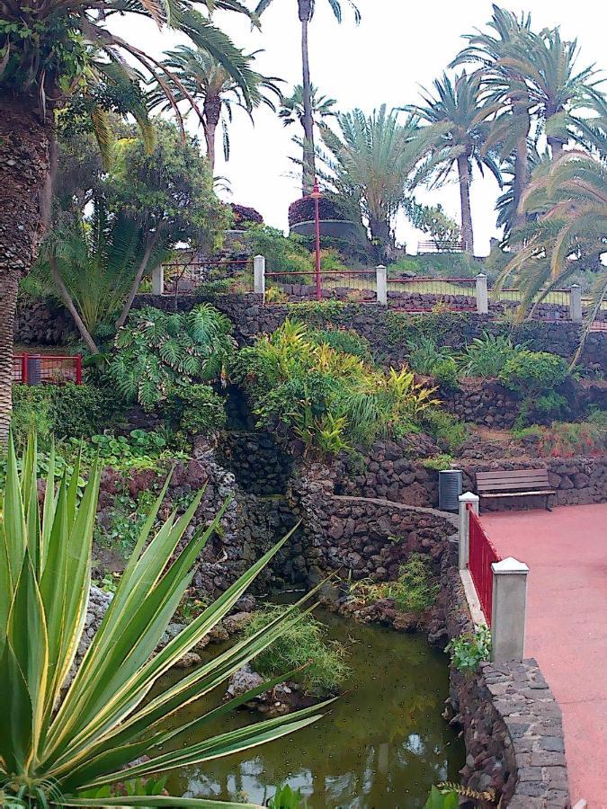 Estudio Brillante, Confortable Y Agradable Puerto de la Cruz  Eksteriør bilde